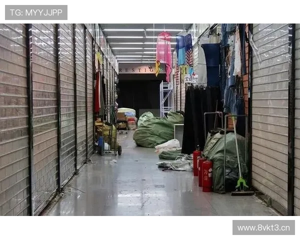 企业家破产背后的深层原因与复苏之道探索